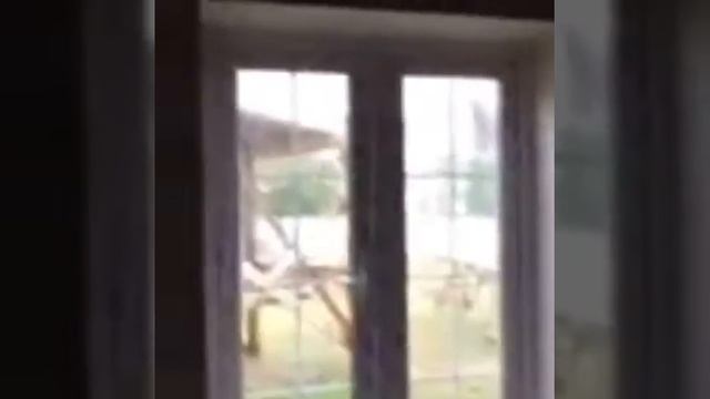 Отзыв о машинной штукатурке от Станислава г.Бор смотреть онлайн