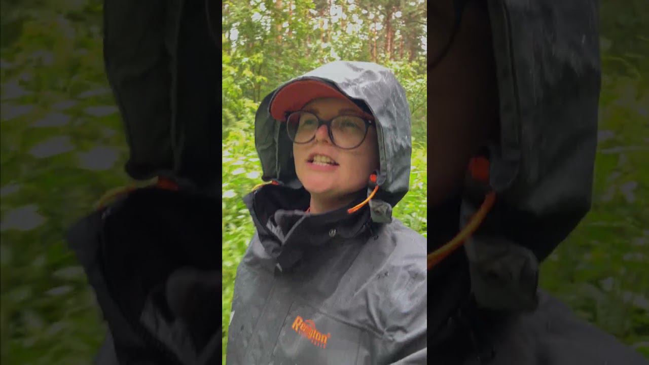 Идеальное сочетание. #shorts смотреть онлайн