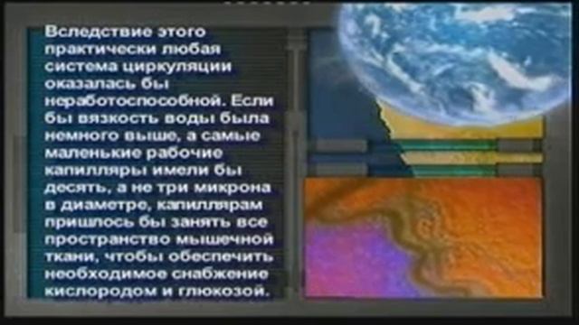 Планета Земля 6 смотреть онлайн