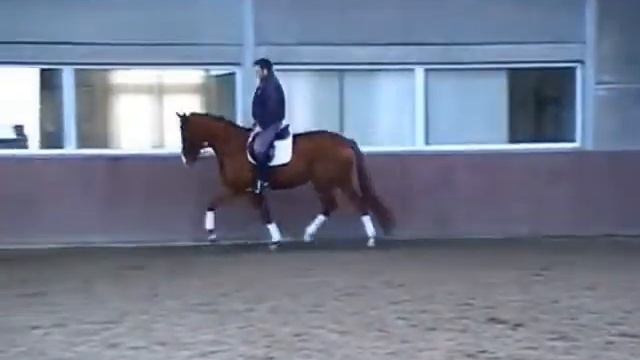 Выездковые№34 смотреть онлайн