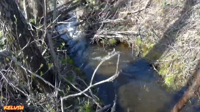 НАШЕЛ МОРДУ И..... смотреть онлайн