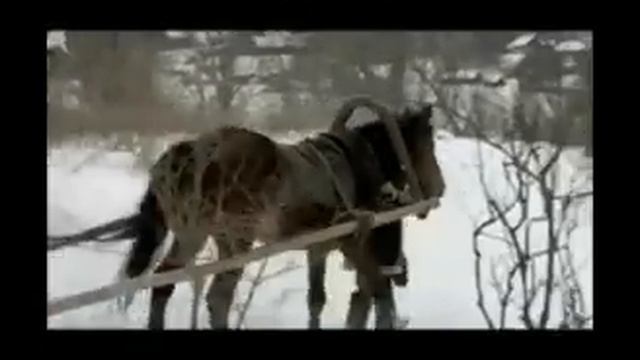 На Колыме где тундра и тайга кругом... смотреть онлайн