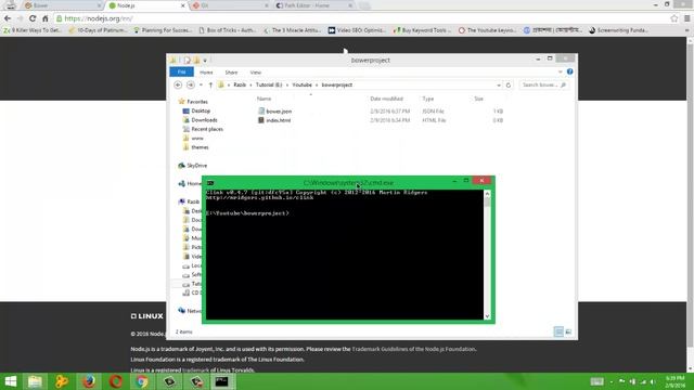 Bower Basic 2016 смотреть онлайн