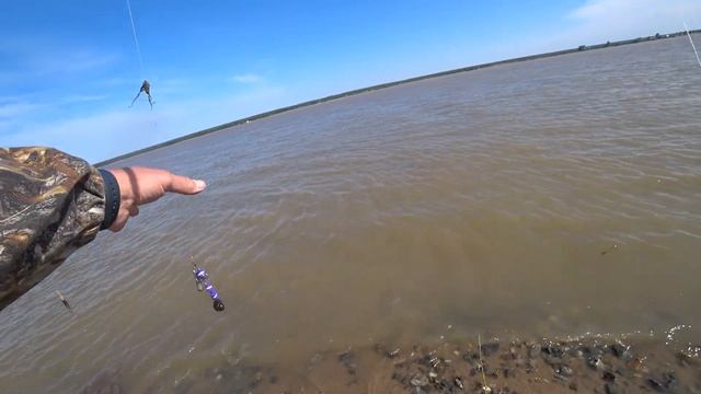 Два судака ...проездом. Спирино конец мая 2023. смотреть онлайн