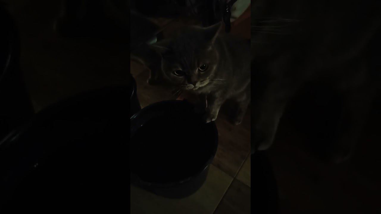 Жуткая штука - похмелье смотреть онлайн