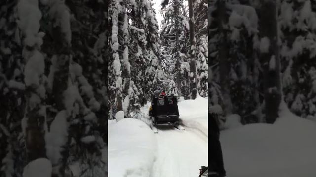 На снегоходах по зимней тайге. смотреть онлайн