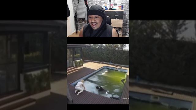 Women Doesn't care about her dying dog! смотреть онлайн