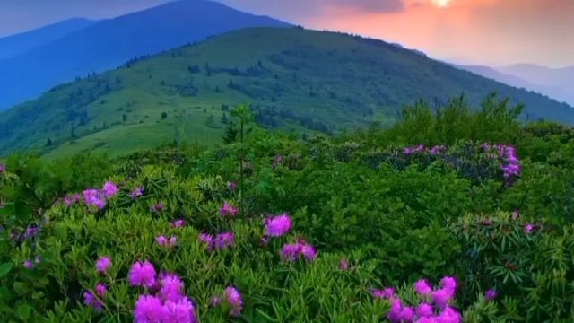 Истории из жизни.  Свекровь отговаривала сына от женитьбы. Рассказы из жизни. Жизненные истории.