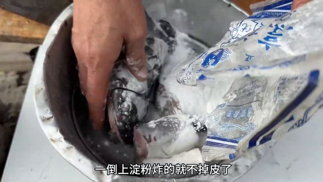 老妈明天就出发了，阿凯今天炖条大鱼践行，给老妈好好改善一顿 смотреть онлайн