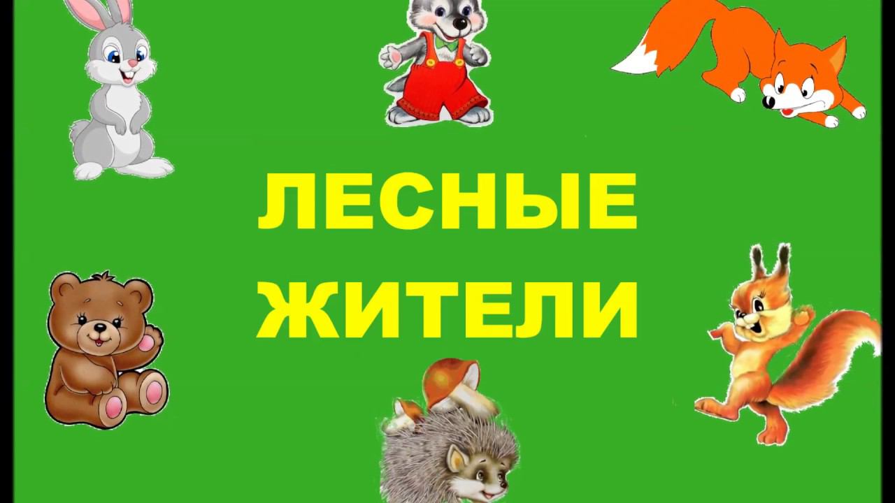 Лесные жители | Дикие животные | Учим животных | Мультики для малышей | Развиваем малышей смотреть онлайн