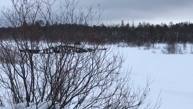 Прогулка по лесу и на озеро на снегоходе. смотреть онлайн