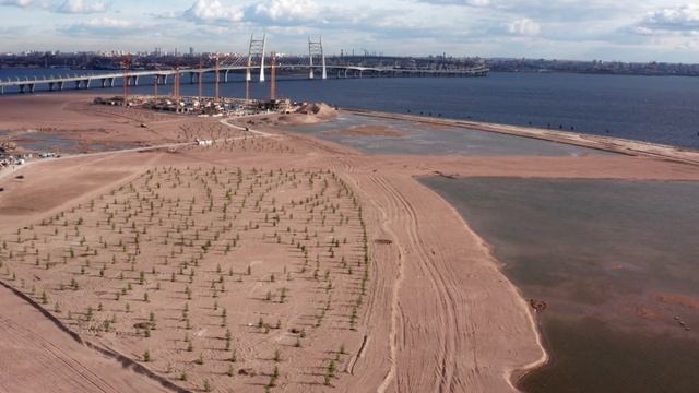Хвойный парк в жилом комплексе «Морская набережная»