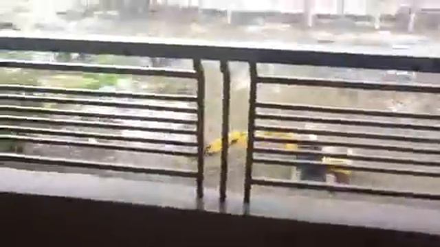 2BR Unit Turnover Part 2 смотреть онлайн