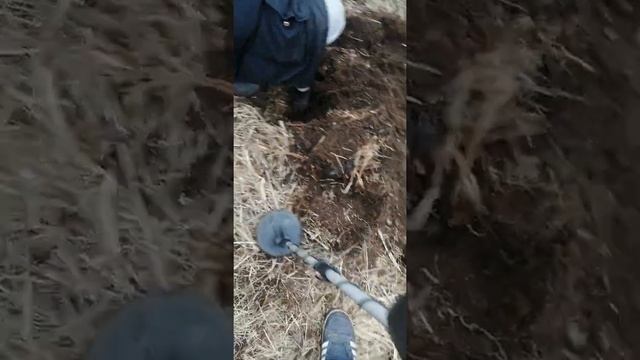 Капаем метал дешовым металоискатель смотреть онлайн
