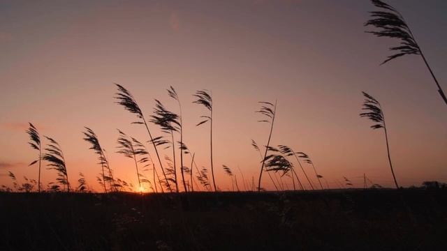 Father Seraphim Psalm in Aramaic смотреть онлайн