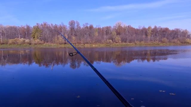 №13 В поисках щуки Озёра кто то выключил смотреть онлайн