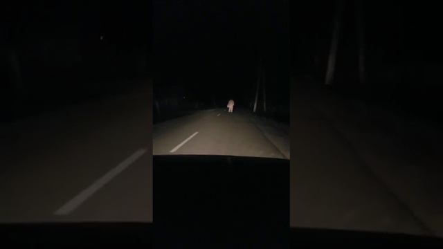 земля остановилась смотреть онлайн