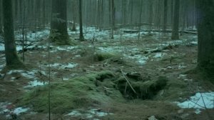 В первую брачную ночь жених снял платье с невесты, увидел ЭТО и выбежал из спальни. Родители онемел