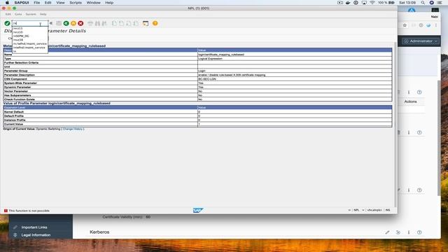 Configure SAPCC + NW ABAP 7.51 for Principal Propagation + Docker Network config for both Container смотреть онлайн