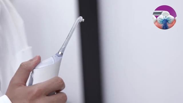 гатор PHILIPS HX8261/01