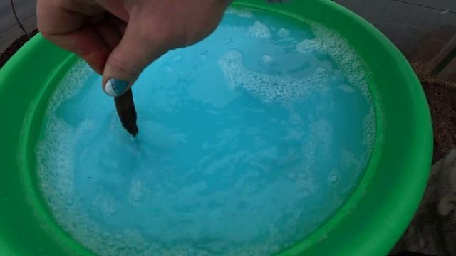 Дезинфекция теплицы смотреть онлайн