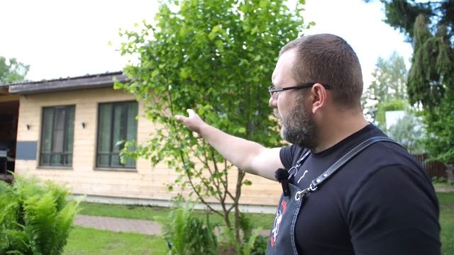 ?? КУРИЦА в аджике, копчёная в Weber smokefire ex6 с летним соусом? смотреть онлайн