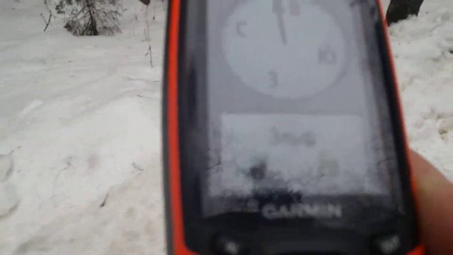 Бигль Эльф. Отслеживание по GPS. смотреть онлайн