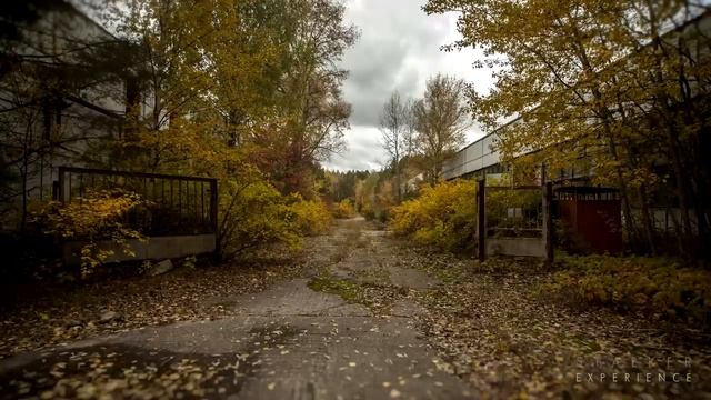 Stalker's Dreams | Dark Ambient Mix смотреть онлайн