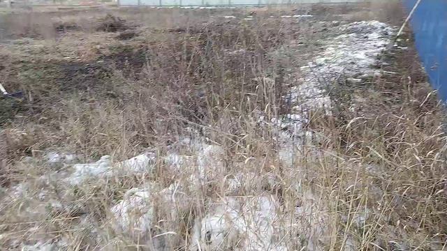 подготовка площадки под бытовку 6*5м савхоз Масловский #масловский#савхоз#воронеж#2021#стройка смотреть онлайн