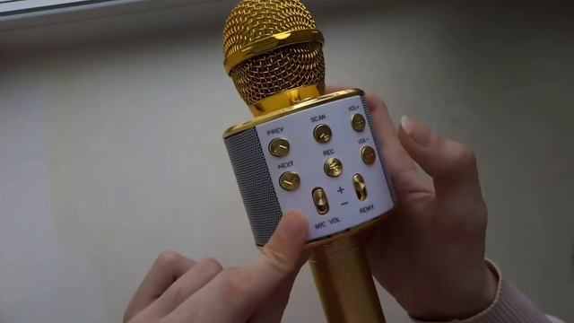 Обзор микрофона Ws-858 смотреть онлайн