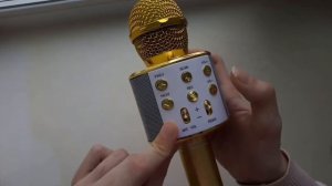 Обзор микрофона Ws-858