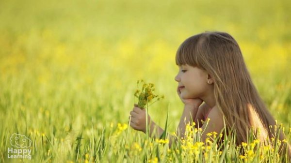 Five Senses: The Sense of Smell | Educational Videos for Kids
