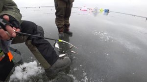 НА НЕЁ КЛЮЁТ ВСЕГДА! Золотая мормышка для рыбалки. Мормышка на окуня.