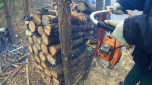 Бензопила "УРАЛ" пилим дрова