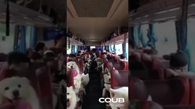 поездка.mp4 смотреть онлайн