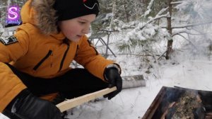 Лес ЗИМОЙ сказочно красив! 🌲❄️ ВЛОГ Супер Тима и семья Супер Фемели!