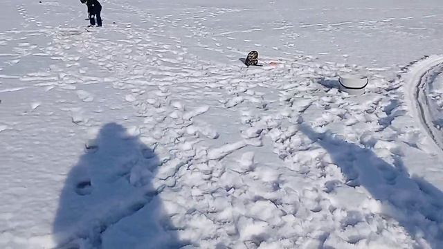 Рыбалка в глуши Карельских лесов смотреть онлайн