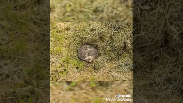 Добро должно быть. смотреть онлайн