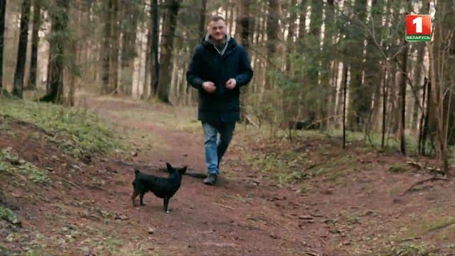 Актёр театра и кино Дмитрий Тумас и его питомцы. История собаки Молли. Путь домой смотреть онлайн