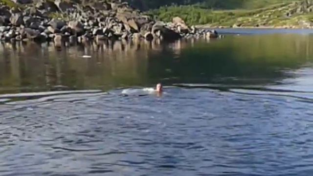август 2015 курорты Баренцева моря, Мурманская область, губа Зеленецкая смотреть онлайн