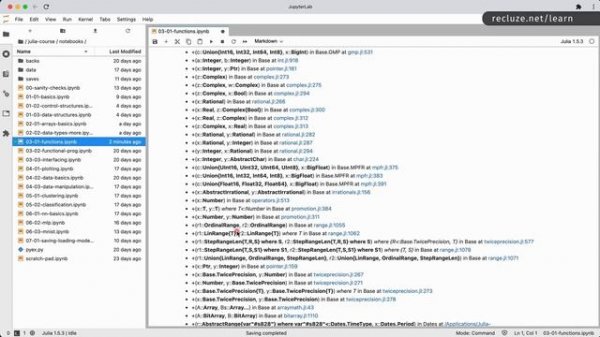 Julia Programming Language for Data Science and Machine Learning - Best-seller video course