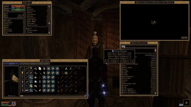 Let's Play TES III: Morrowind - GotY • 059 • Stupid Alchemist tricks смотреть онлайн