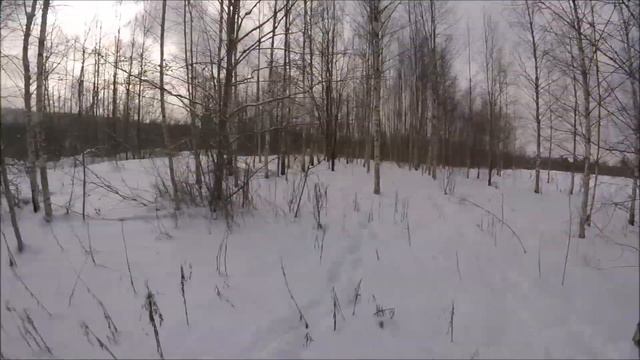 Охота с гончей. +1 и шумовой