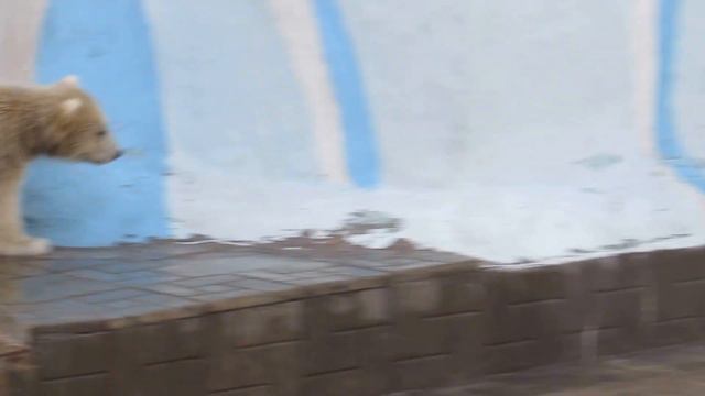 Все игрушки мама забрала 19.04.16 смотреть онлайн