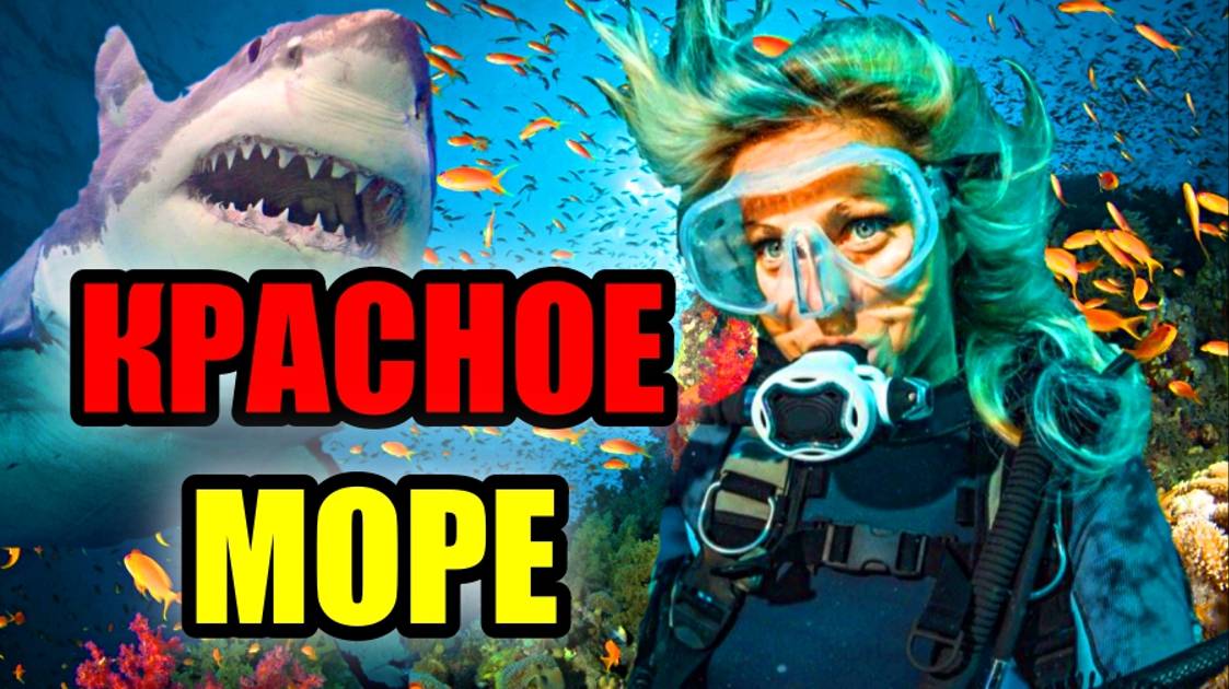 КРАСНОЕ МОРЕ!! Пугающая Красота, самого тёплого моря! смотреть онлайн