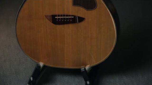 Gopher Wood Acoustic Guitar ( K330 RCE )