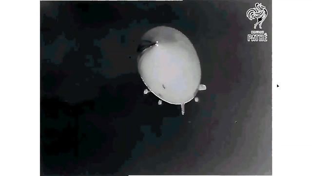 hinden.knowing [the.minute.remix] (original.grasshopper.man.music) смотреть онлайн