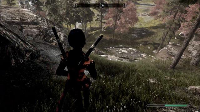 Skyrim SE latest Steam Version, before skyrim anniversary edition release. 20Esp. install смотреть онлайн