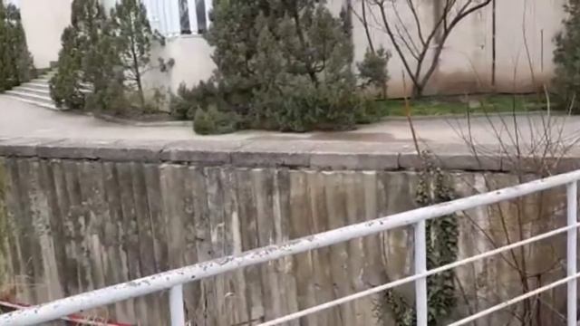 ТОК Судак. Крым.март 2021. пенсионеры на отдыхе. смотреть онлайн