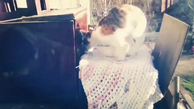 Прогулка на свежем воздухе Кати и её сестренки Таси смотреть онлайн